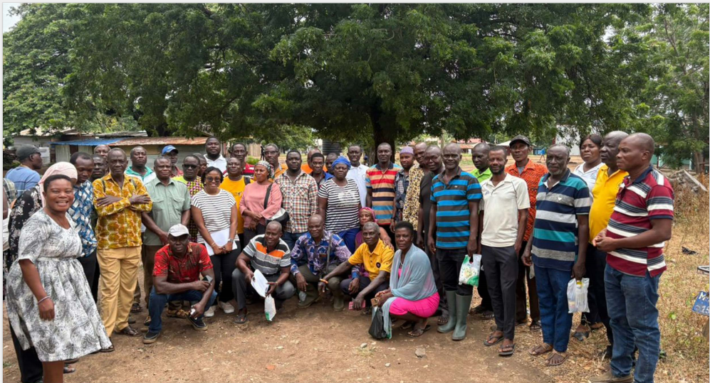 Cooperative Partnerships