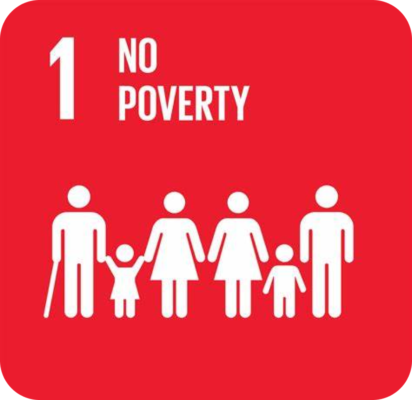 SDG 1